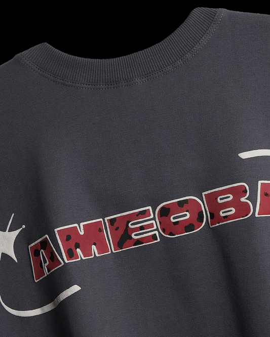 PHANTOM ASH AHI T-SHIRT